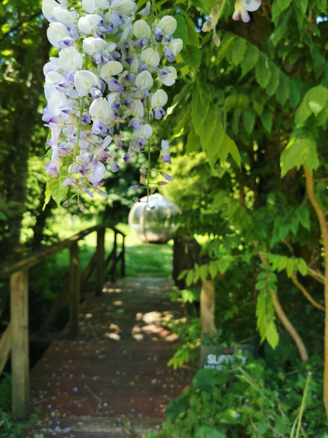 Rose In Vale Country House Hotel St Agnes  Esterno foto