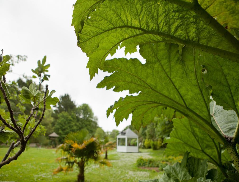 Rose In Vale Country House Hotel St Agnes  Esterno foto