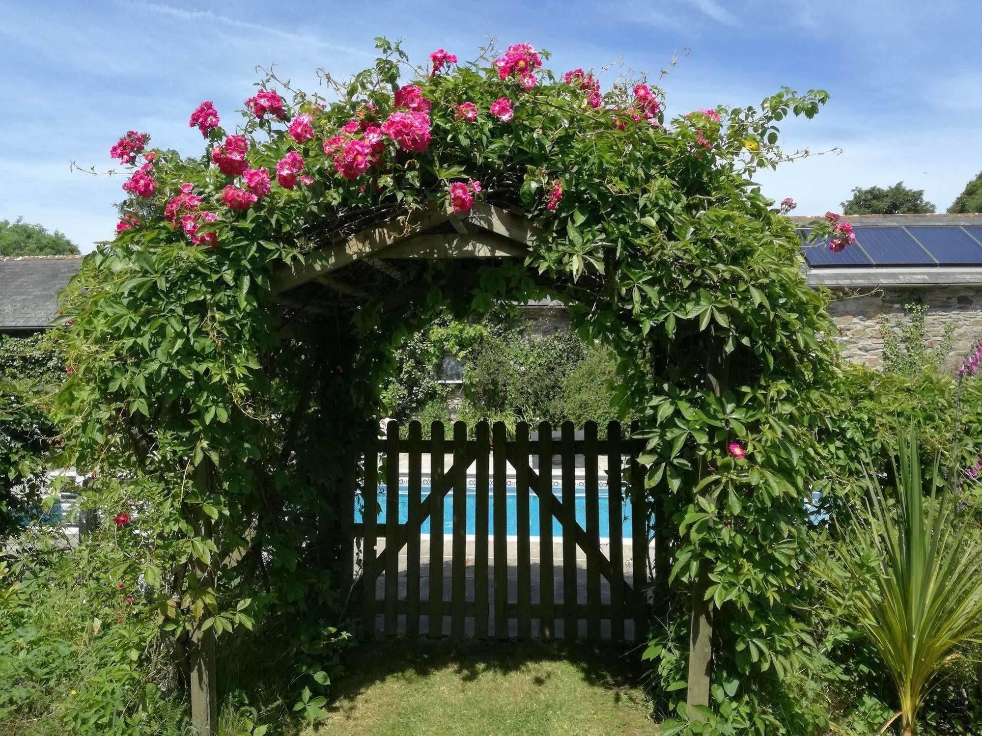 Rose In Vale Country House Hotel St Agnes  Esterno foto